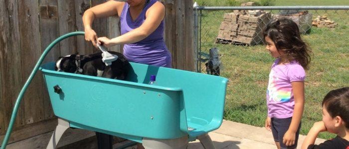 Free dog wash station