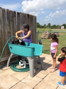 Free Dog Wash